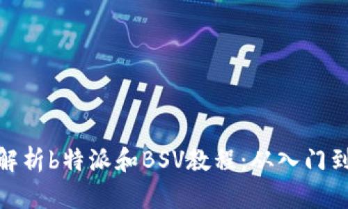 全面解析b特派和BSV教程：从入门到精通