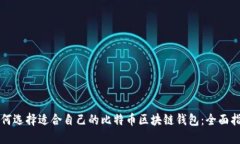 如何选择适合自己的比特币区块链钱包：全面指