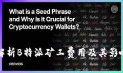 全面解析B特派矿工费用及其影响因素