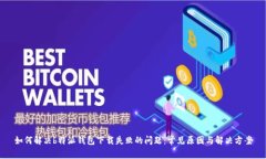 如何解决b特派钱包下载失败的问题：常见原因与