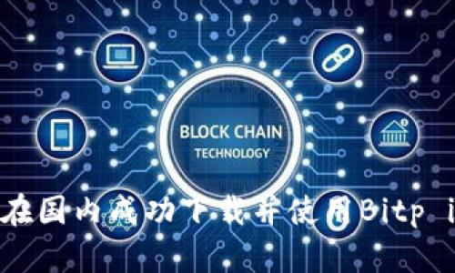 : 如何在国内成功下载并使用Bitp iOS应用
