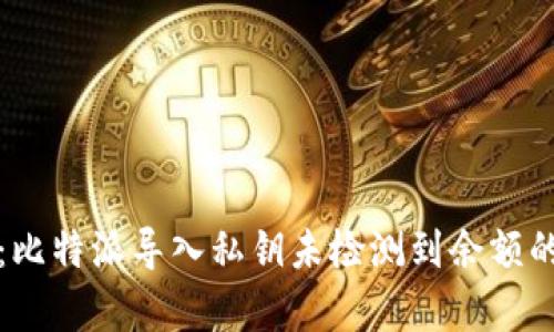 彻底解析:比特派导入私钥未检测到余额的解决方案