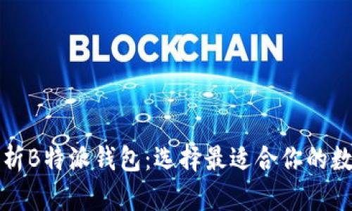 全面解析B特派钱包:选择最适合你的数字钱包