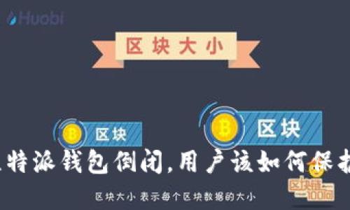 如果比特派钱包倒闭,用户该如何保护资产?