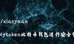 xiaoyuan/xiaoyuan如何使用Mytoken比特币钱包进行安全