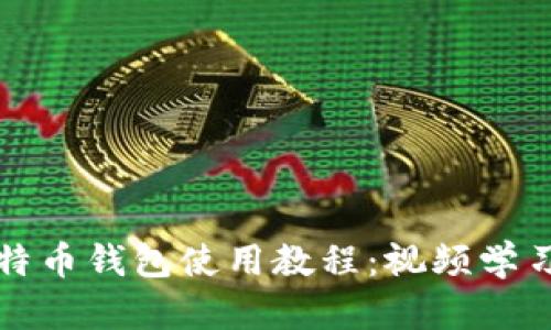 全面解析比特币钱包使用教程:视频学习与实操指南