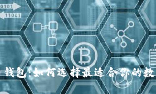 全面解析比特币钱包:如何选择最适合你的数字资产存储方案