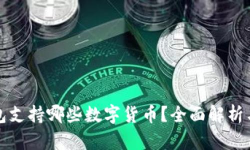 BitP钱包支持哪些数字货币？全面解析与优缺点