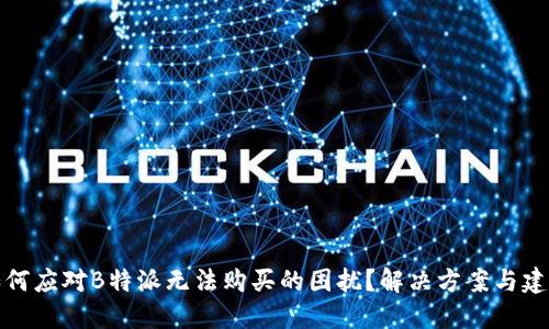如何应对B特派无法购买的困扰?解决方案与建议