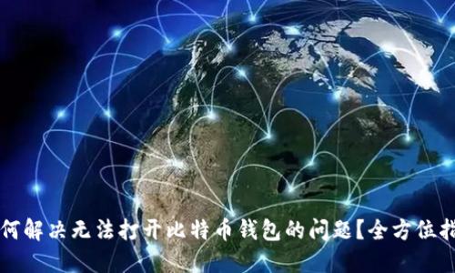 如何解决无法打开比特币钱包的问题?全方位指南