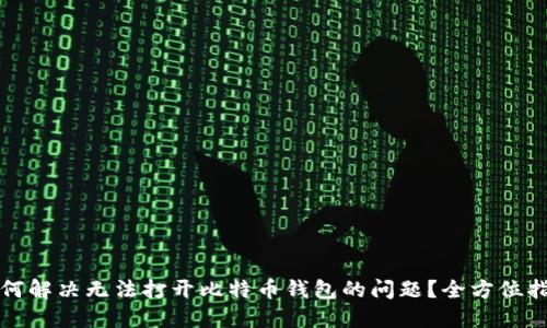如何解决无法打开比特币钱包的问题?全方位指南
