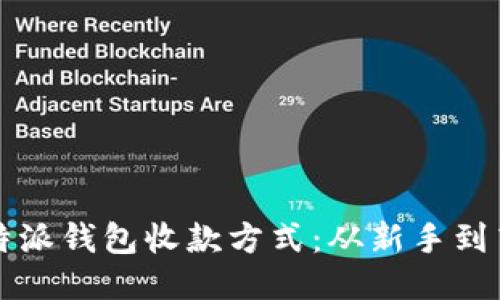 如何正确设置比特派钱包收款方式：从新手到高手的全流程指南