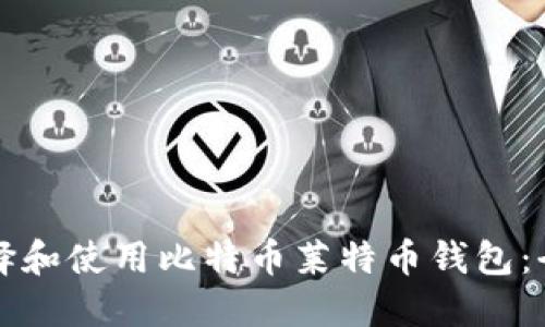 如何选择和使用比特币莱特币钱包：全面指南