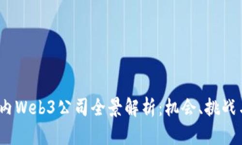 2023年国内Web3公司全景解析:机会、挑战与未来发展