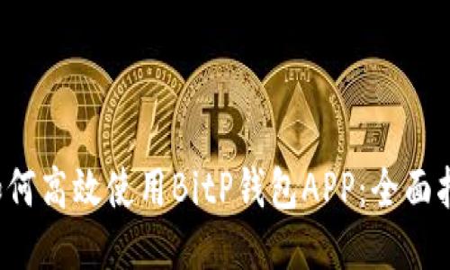  如何高效使用BitP钱包APP：全面指南