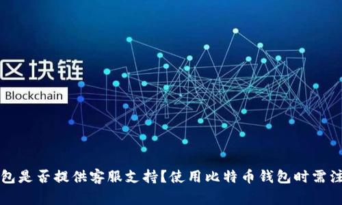 比特币钱包是否提供客服支持?使用比特币钱包时需注意的事项