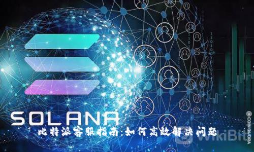 比特派客服指南:如何高效解决问题