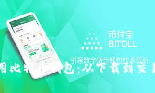 如何有效使用比特币钱包:从下载到交易的全面指南