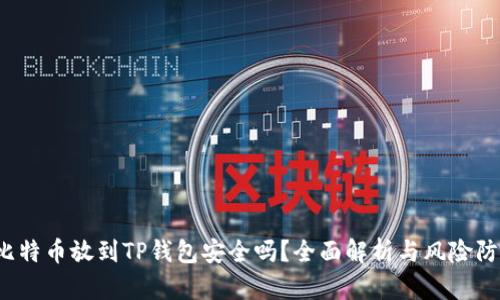  比特币放到TP钱包安全吗？全面解析与风险防范