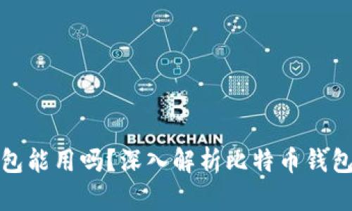 没有私钥的比特币钱包能用吗?深入解析比特币钱包的安全性及使用限制