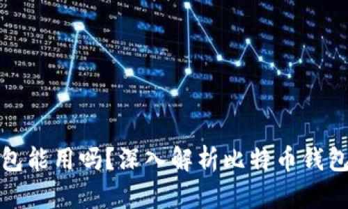 没有私钥的比特币钱包能用吗?深入解析比特币钱包的安全性及使用限制