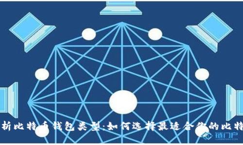深入解析比特币钱包类型:如何选择最适合你的比特币钱包