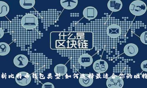 深入解析比特币钱包类型:如何选择最适合你的比特币钱包