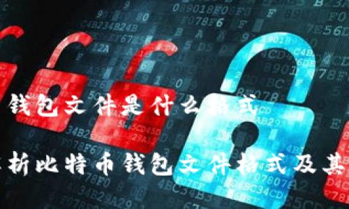 比特币钱包文件是什么格式
全面解析比特币钱包文件格式及其重要性