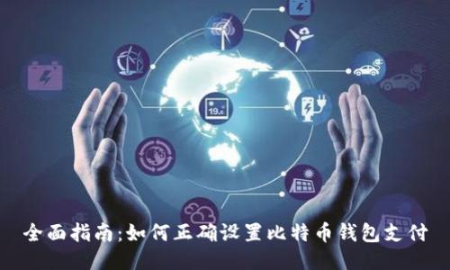 全面指南:如何正确设置比特币钱包支付