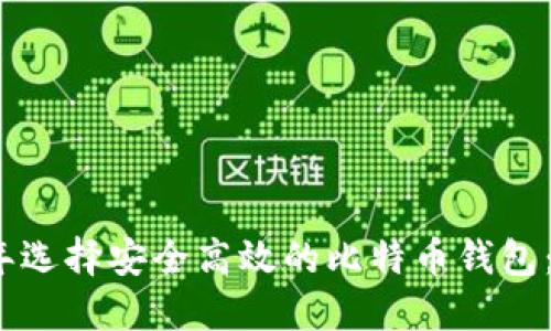 在2023年选择安全高效的比特币钱包:全面指南