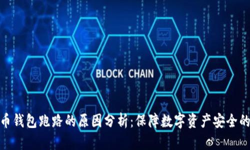 比特币钱包跑路的原因分析:保障数字资产安全的关键