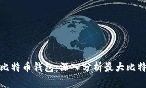 如何选择最适合你的比特币钱包:深入分析最大比特币钱包的优势与选择