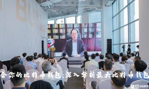 如何选择最适合你的比特币钱包:深入分析最大比特币钱包的优势与选择