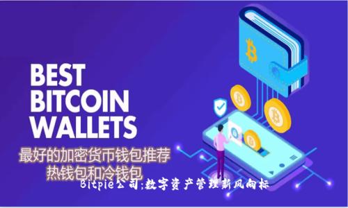 Bitpie公司：数字资产管理新风向标