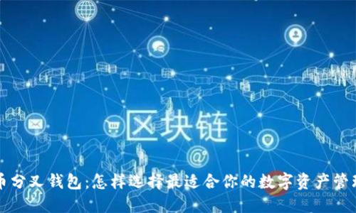 比特币分叉钱包:怎样选择最适合你的数字资产管理工具