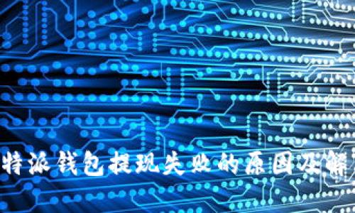 解决B特派钱包提现失败的原因及解决方案