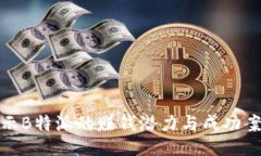 揭示B特派的赚钱潜力与成功案例