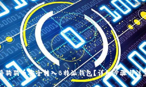 如何将狗狗币安全转入B特派钱包？详细步骤与注意事项