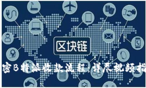 解密B特派收款流程：详尽视频指南