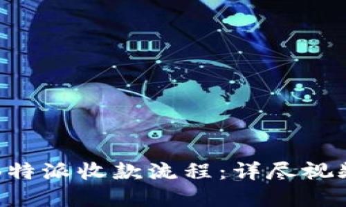 解密B特派收款流程：详尽视频指南