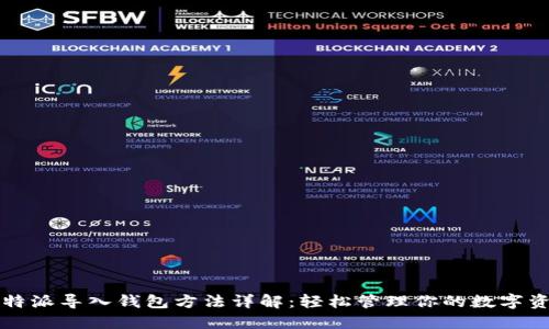 比特派导入钱包方法详解：轻松管理你的数字资产