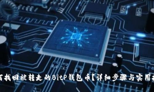 如何找回被转走的BitP钱包币？详细步骤与实用技巧