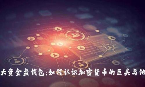 揭秘比特币最大资金盘钱包:如何认识加密货币的巨头与他们的财富影响