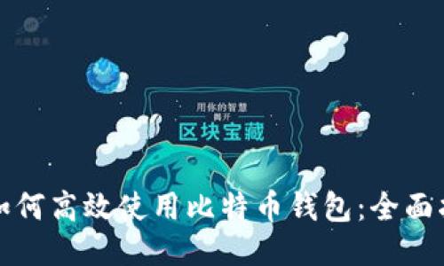 大陆用户如何高效使用比特币钱包:全面指南与技巧
