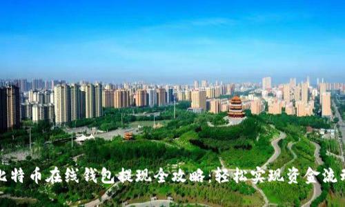 比特币在线钱包提现全攻略：轻松实现资金流动