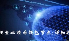 如何高效搜索比特币钱包节点：详细指