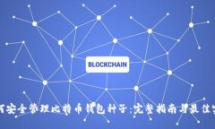 如何安全管理比特币钱包种子：完整指