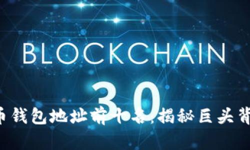 2023年比特币钱包地址前十名:揭秘巨头背后的财富积累