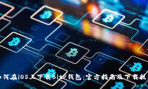 如何在iOS上下载BitP钱包：官方指南及下载技巧