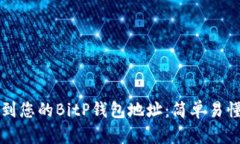 如何找到您的BitP钱包地址：简单易懂